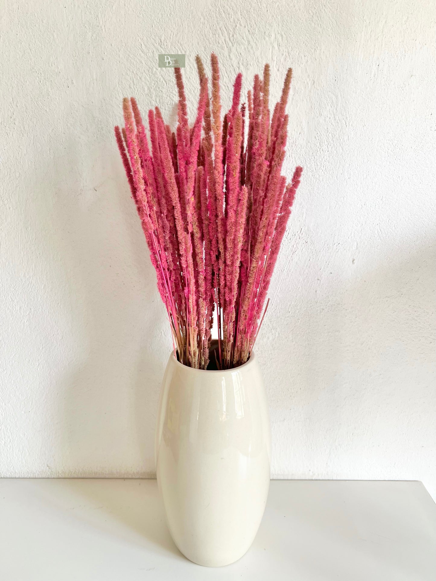 WILD GRASS BUNCH