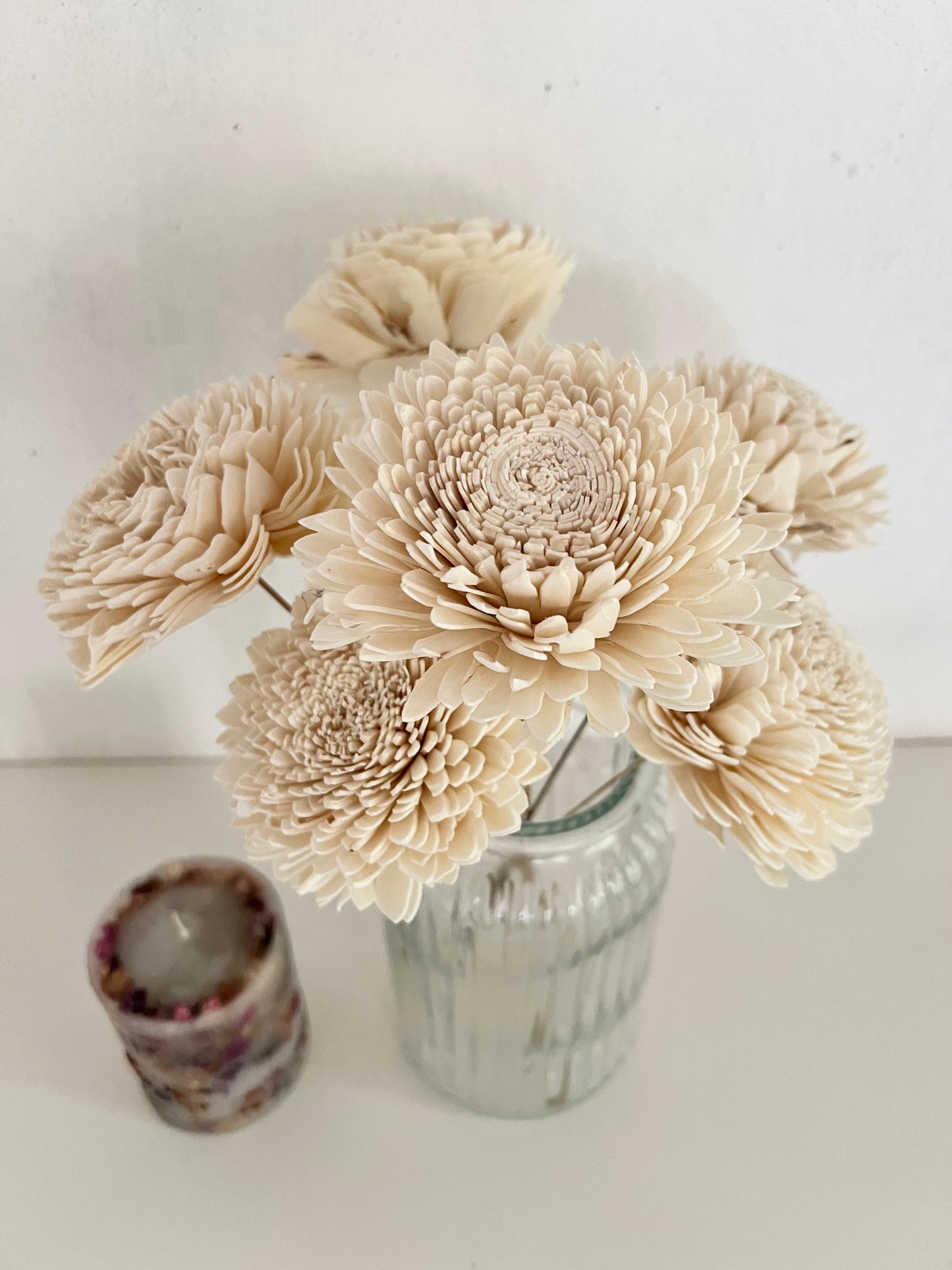 Zinnia Sola Bunch(Set of 6pc)