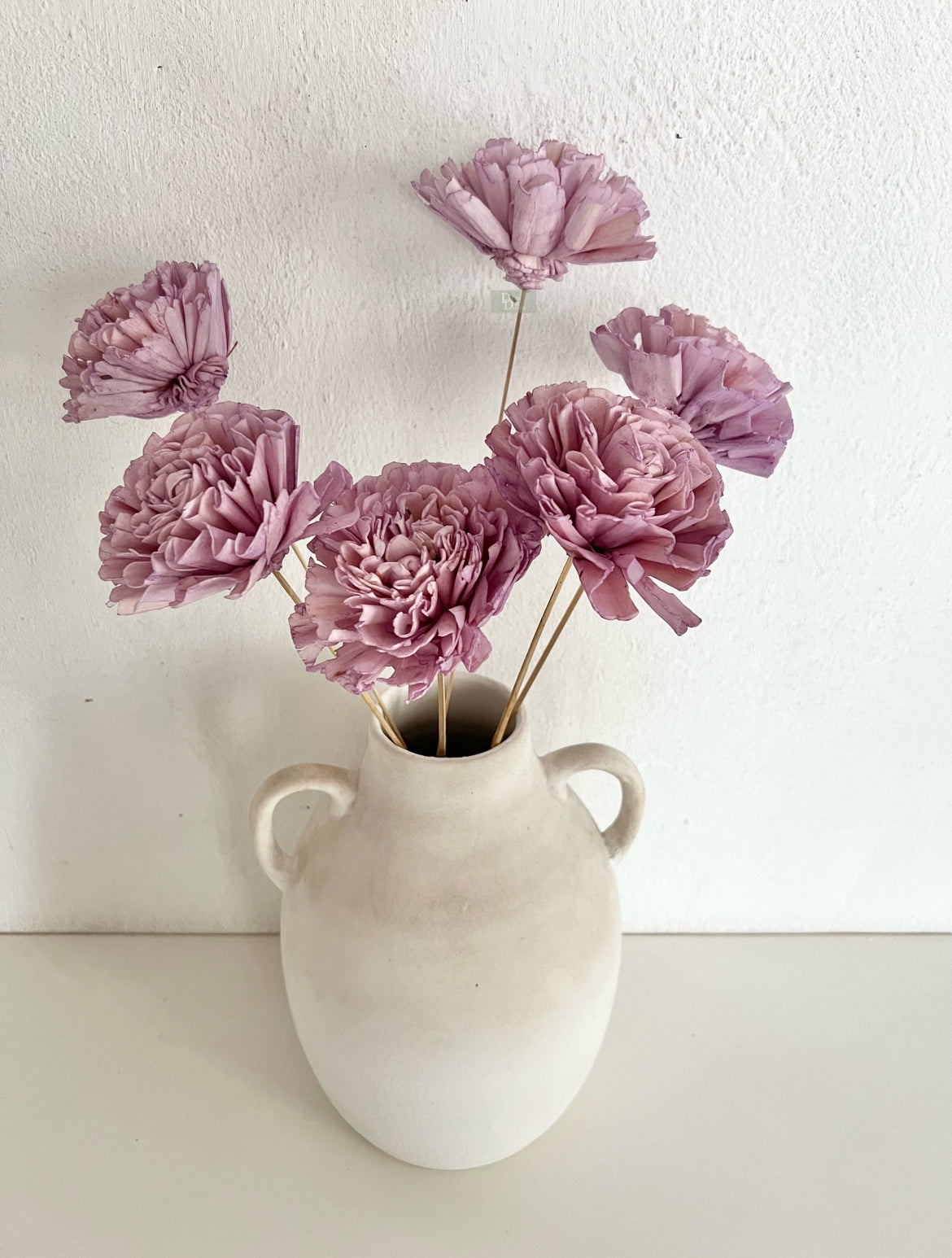 Carnation Sola bunch(set of 6pc)