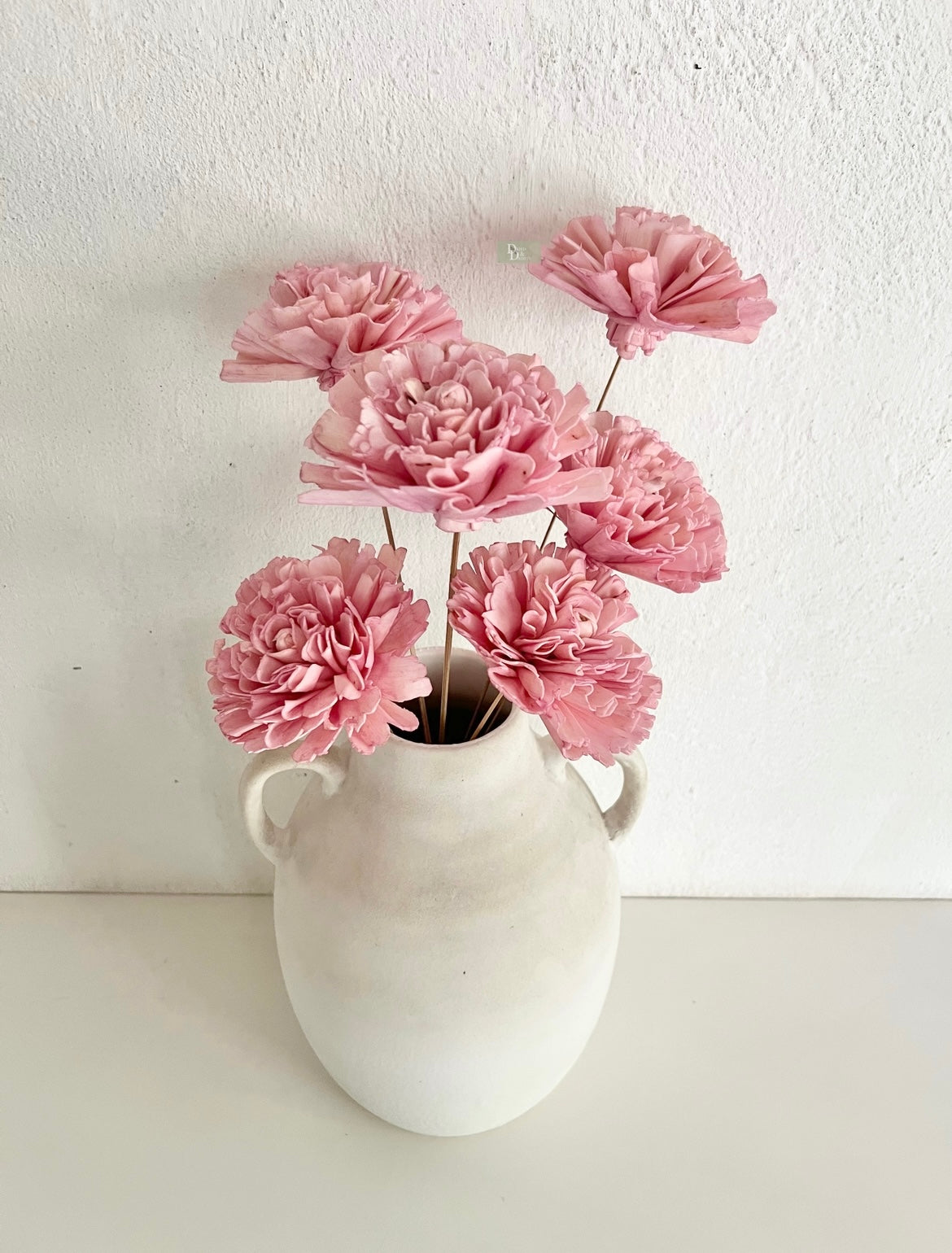 Carnation Sola bunch(set of 6pc)