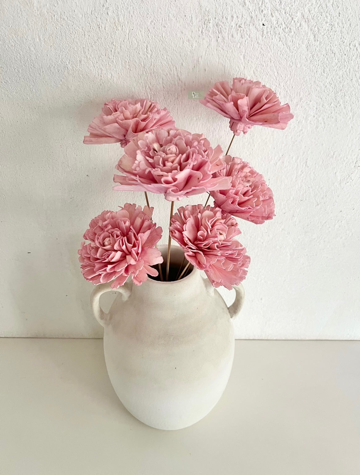 Carnation Sola bunch(set of 6pc)