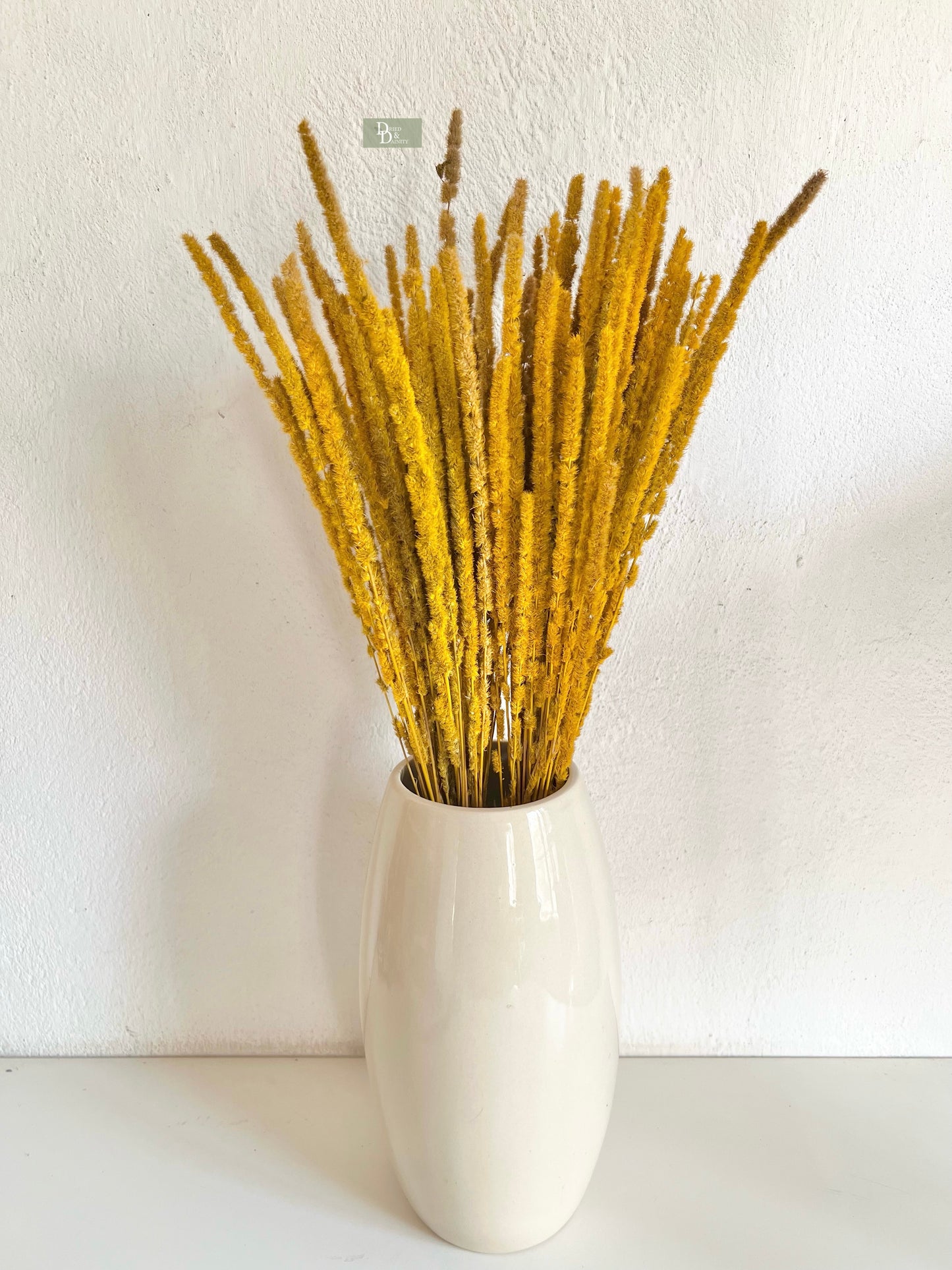 WILD GRASS BUNCH