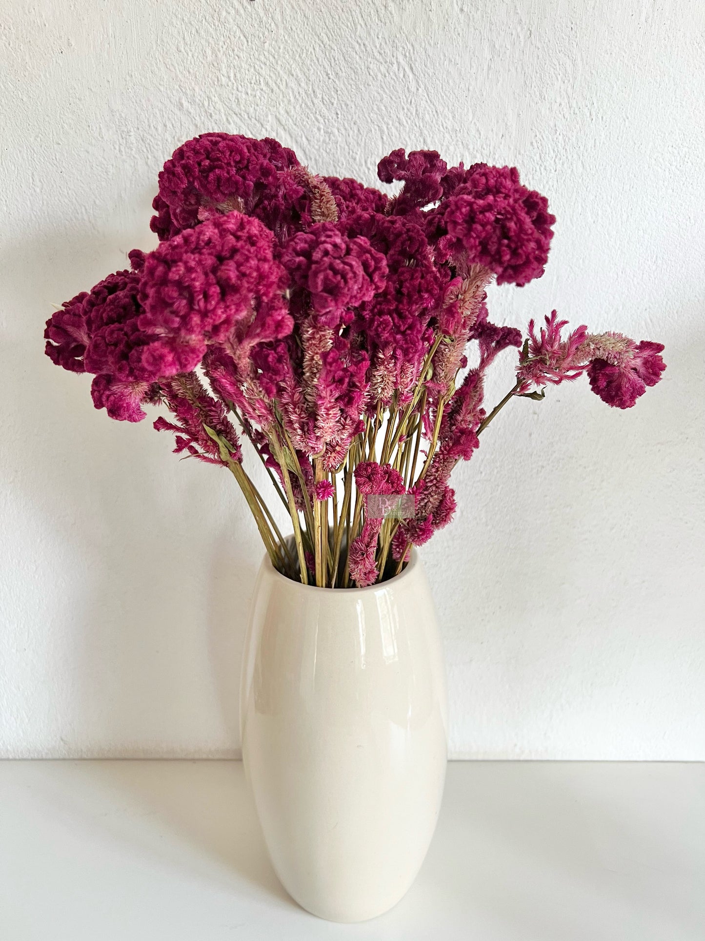 DRIED CELOSIA COCKSCOMB