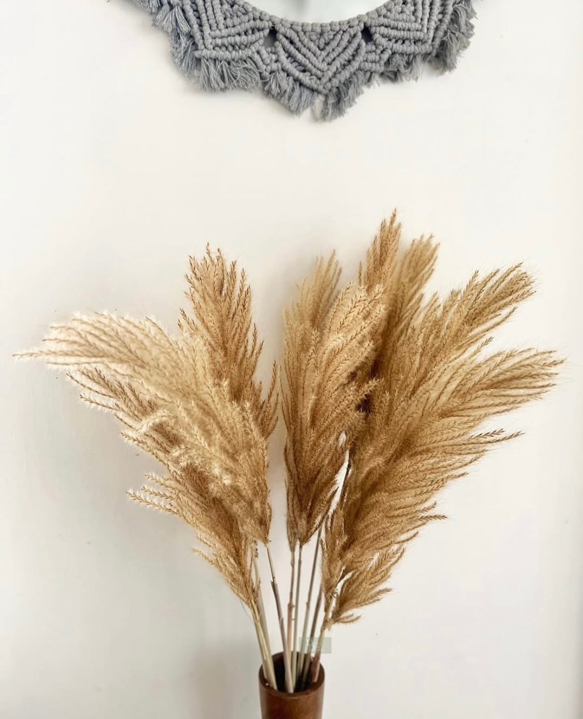 Golden Pampas