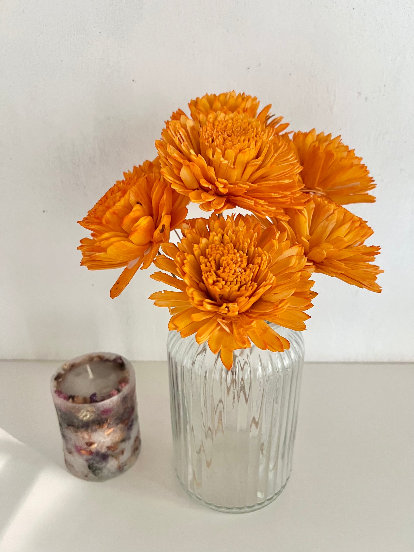 Zinnia Sola Bunch(Set of 6pc)