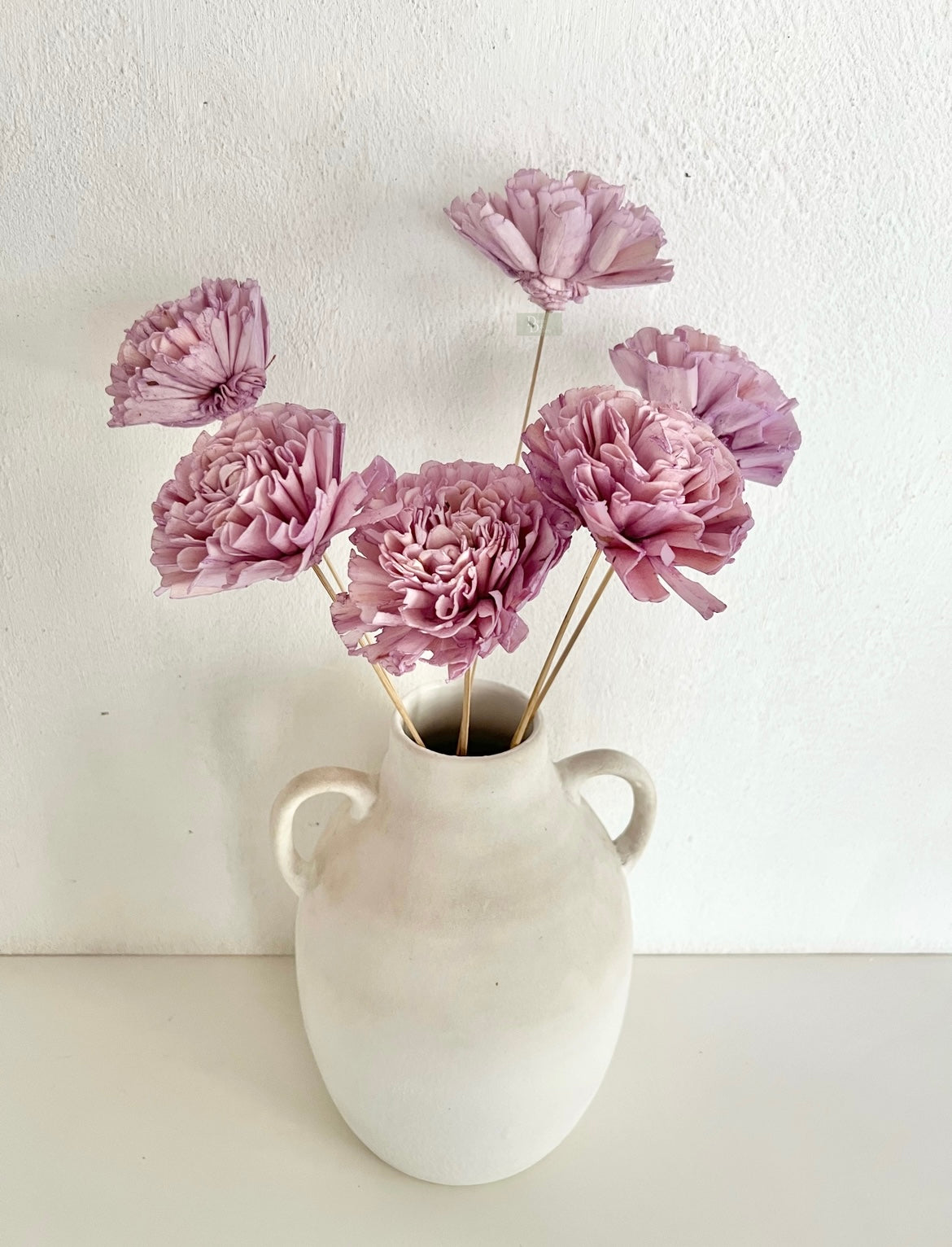 Carnation Sola bunch(set of 6pc)