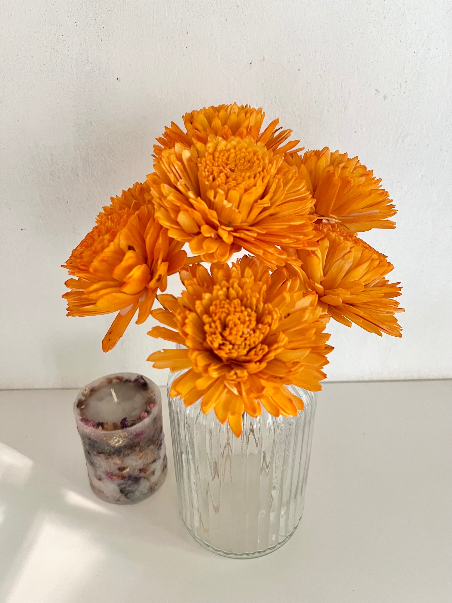 Zinnia Sola Bunch(Set of 6pc)