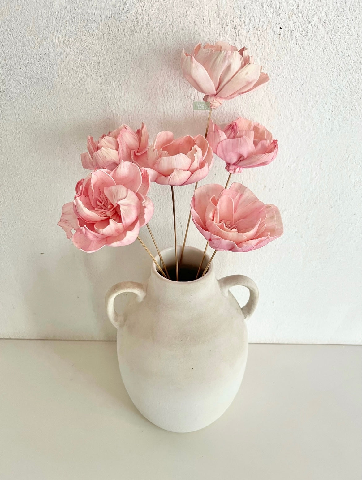 Pastel Pink Peony/sola flower (Set of 6pc)