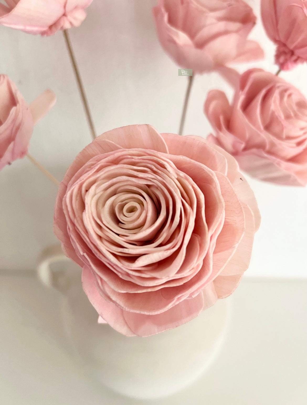 BabyPink Sola Rose(Set of 6pc)