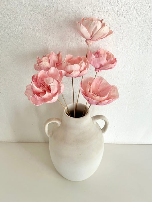 Pastel Pink Peony/sola flower (Set of 6pc)