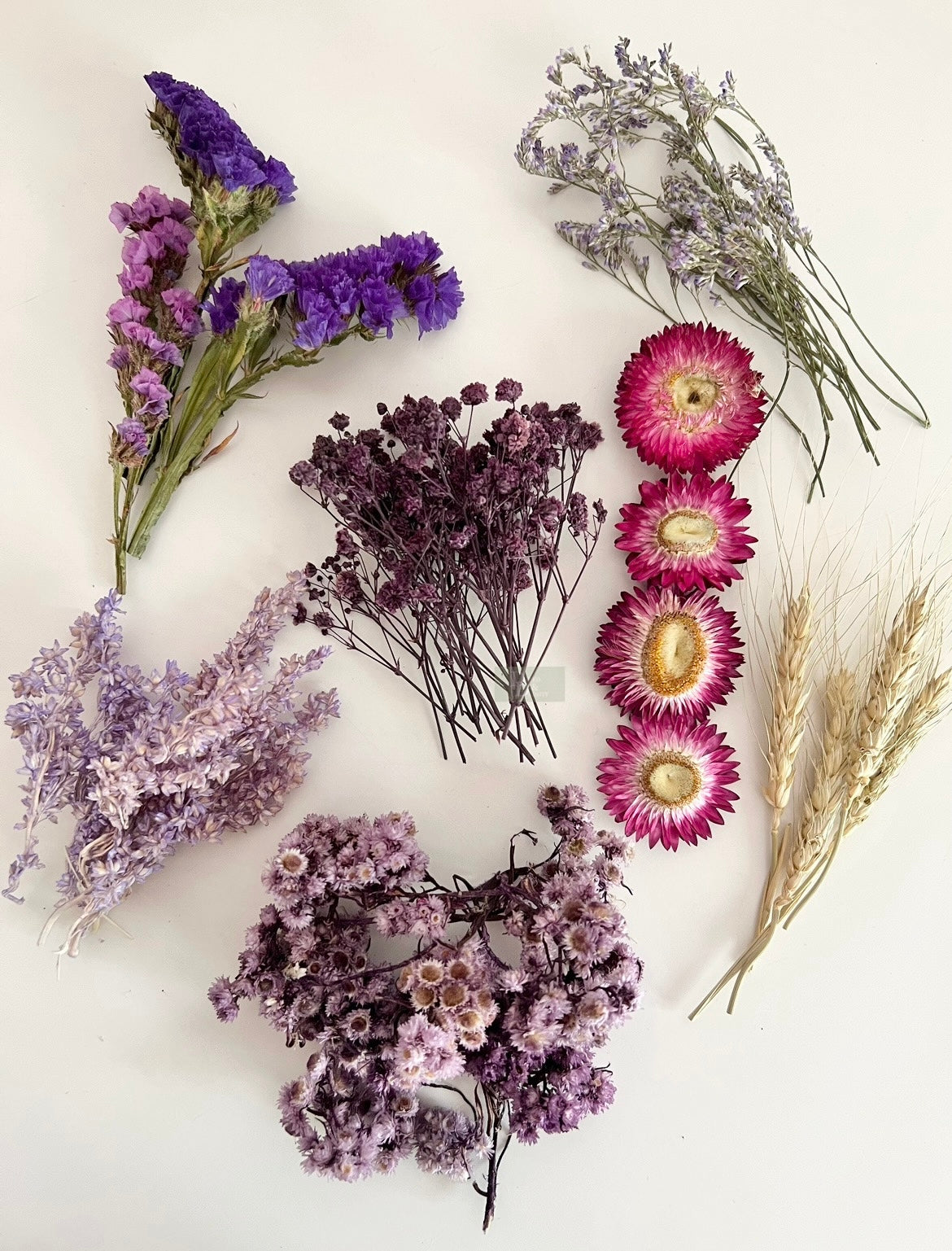 Dried Flowers boxes