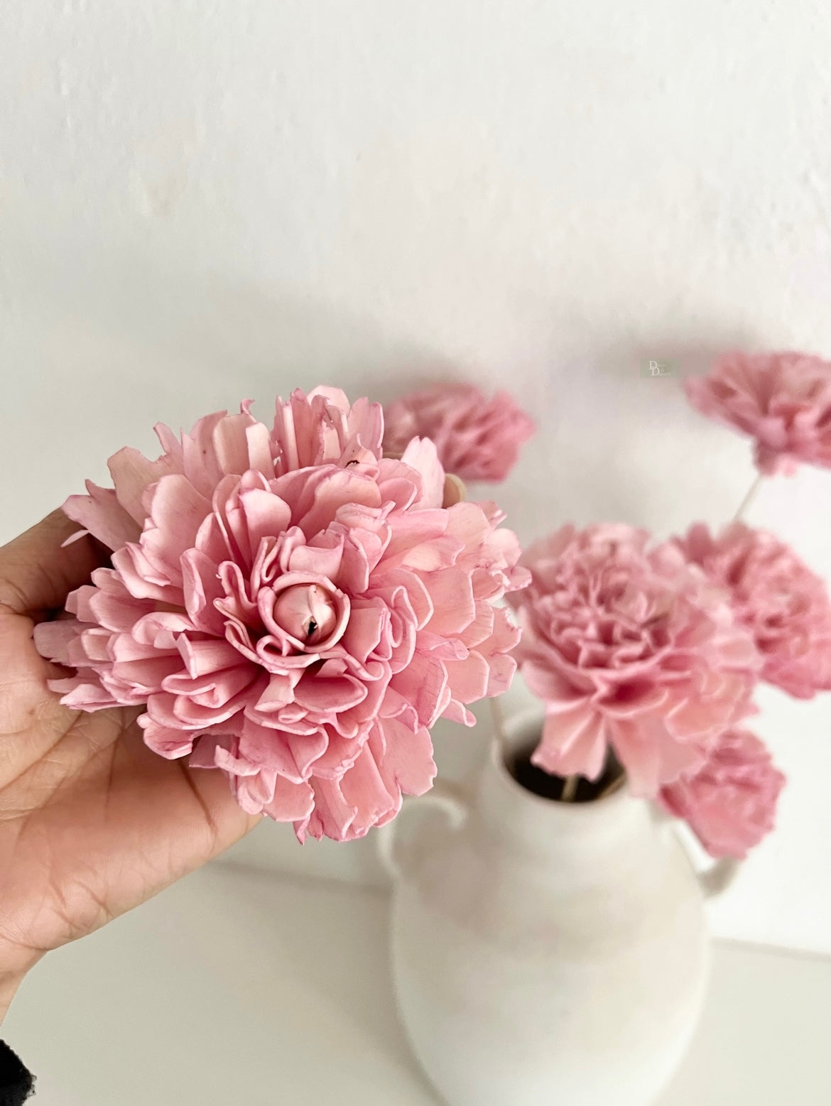 Carnation Sola bunch(set of 6pc)