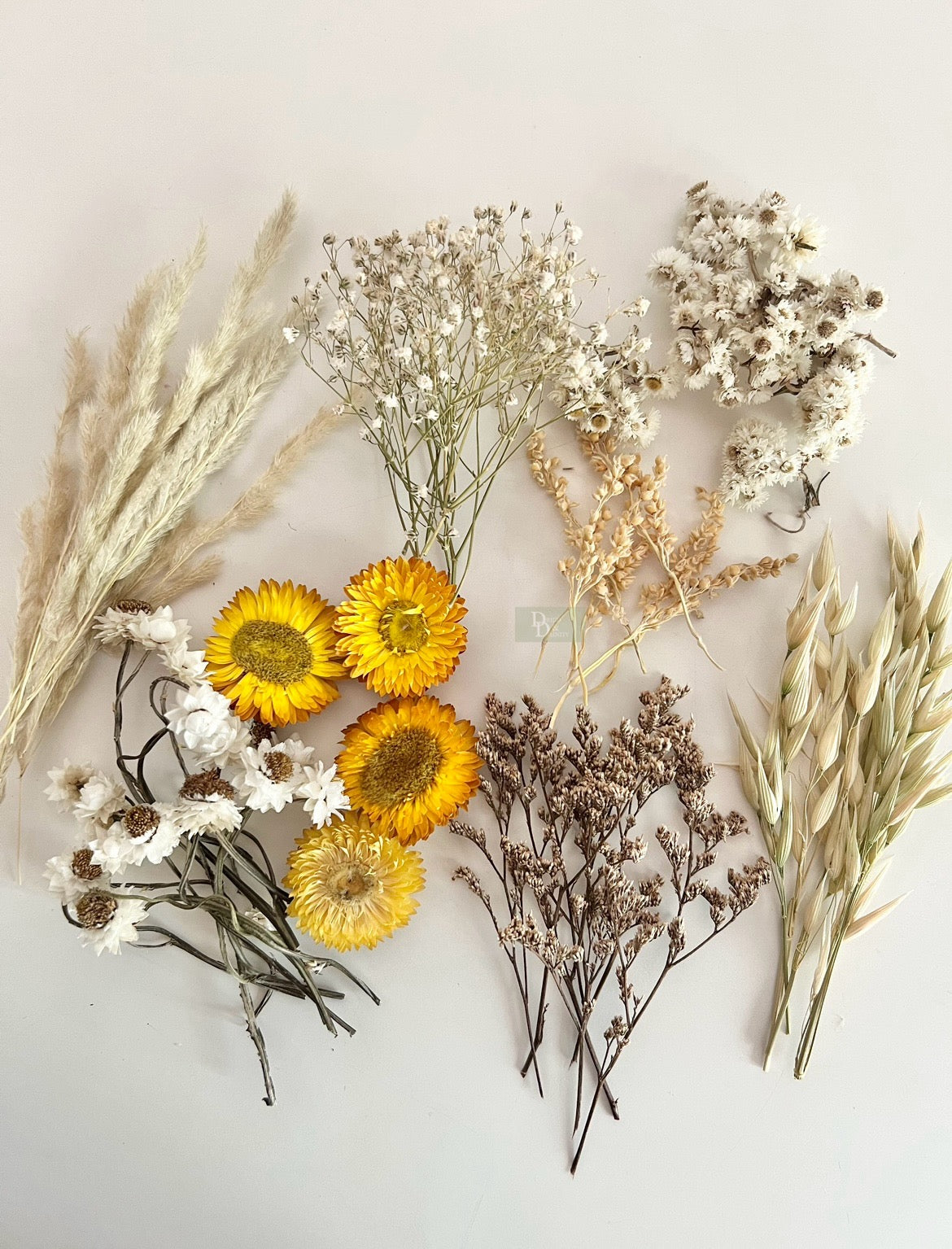 Dried Flowers boxes