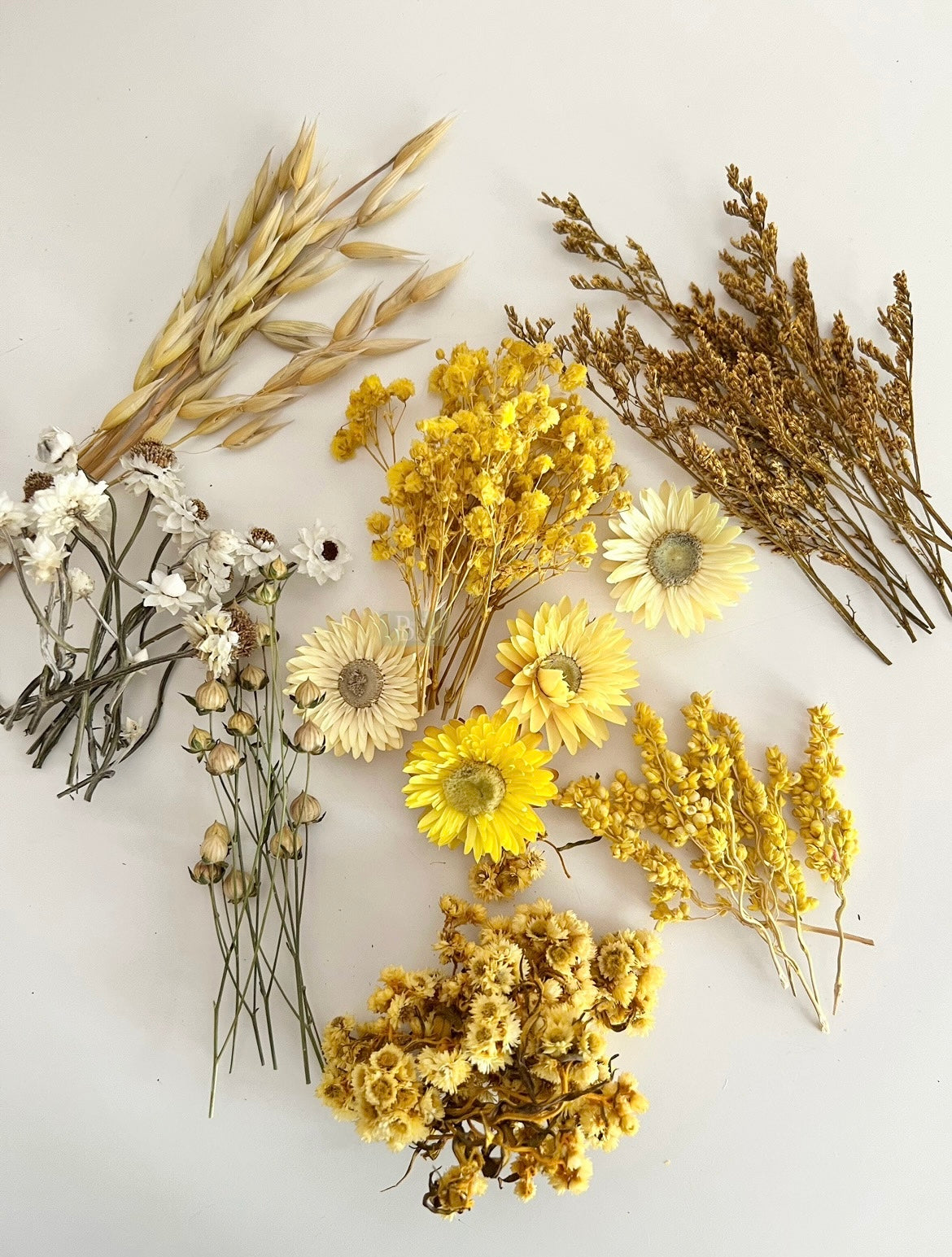 Dried Flowers boxes