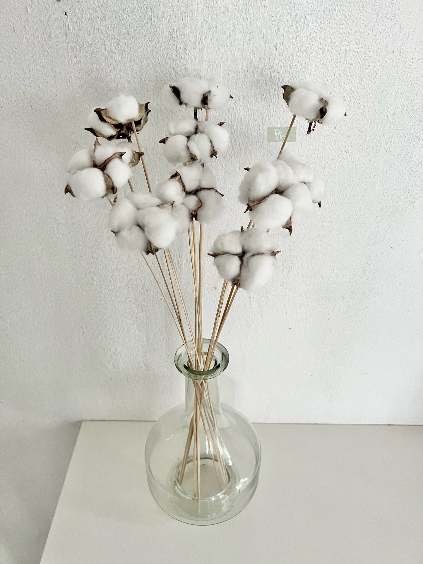 COTTON STEMS