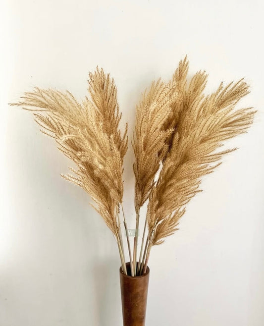 Golden Pampas