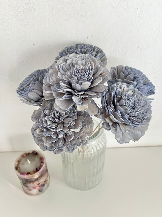 Zinnia Sola Bunch(Set of 6pc)
