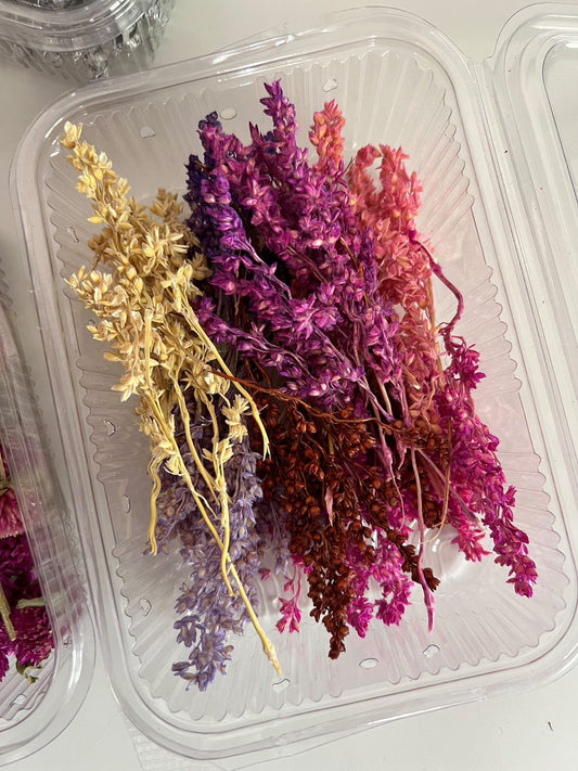 Colour Sorghum box